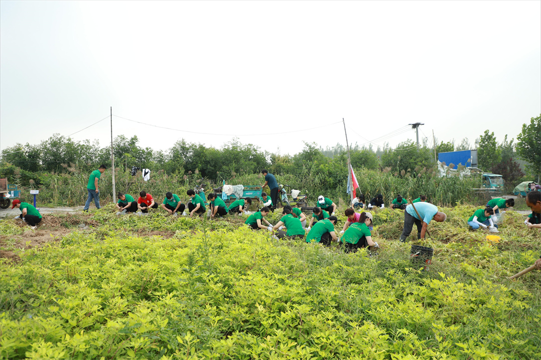 1663812694156256.jpg 2_副本.jpg