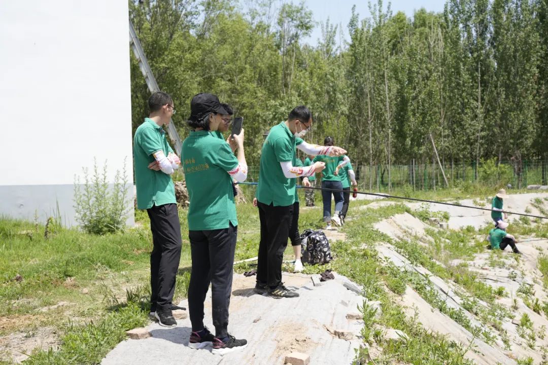 1685432394148154.jpg 14.jpg