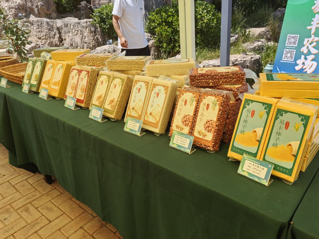 1687676698696882.jpg 3 (2).jpg